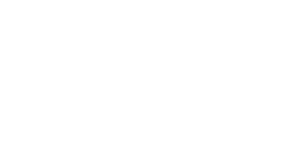 White logo - no background.png